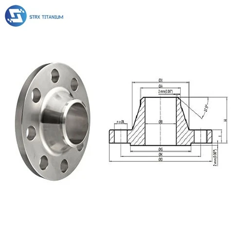 info-1-1 Titanium Welding Neck Flange factory